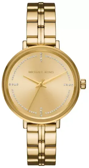 ساعة مايكل كورس Michael Kors Watches