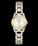 GUESS Ladies 2-Tone Analog Watch GW0927L6